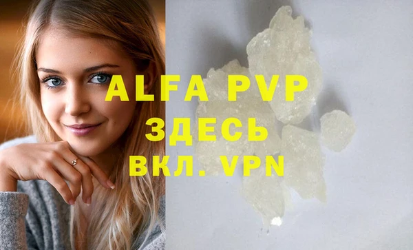 индика Заволжье