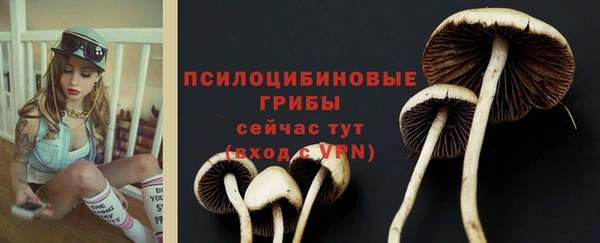 COCAINE Заводоуковск
