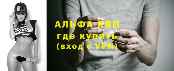 индика Заволжье