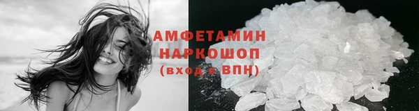 индика Заволжье