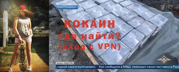 индика Заволжье