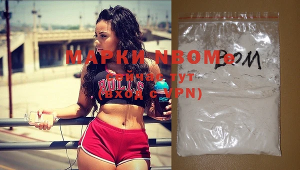 индика Заволжье