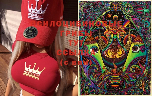 индика Заволжье