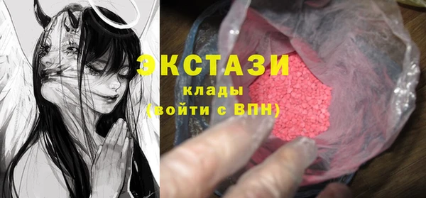 индика Заволжье