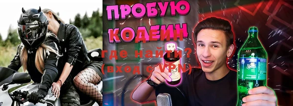 индика Заволжье