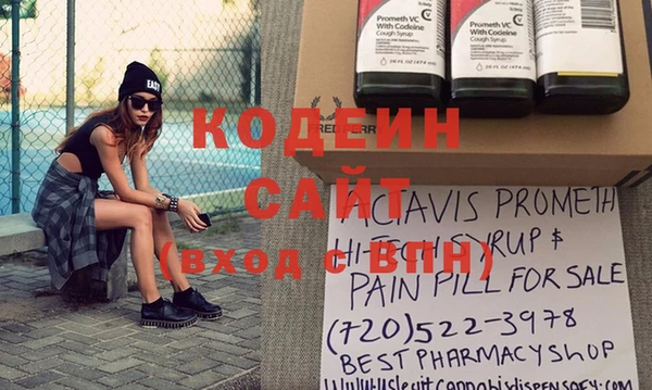индика Заволжье